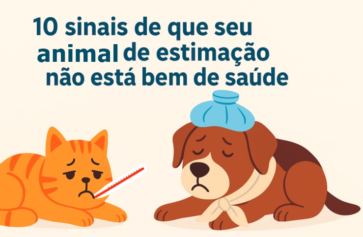 10 Sinais de que seu animal de estimação dá quando não está bem de saúde