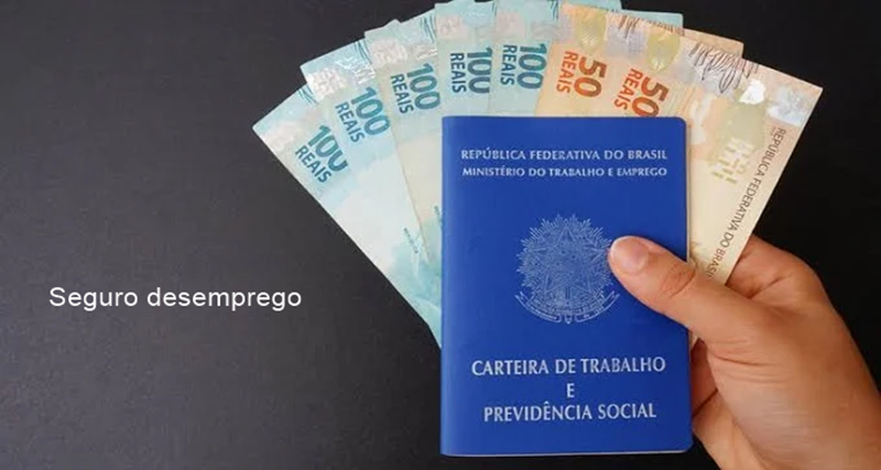 Como funciona o Seguro Desemprego?