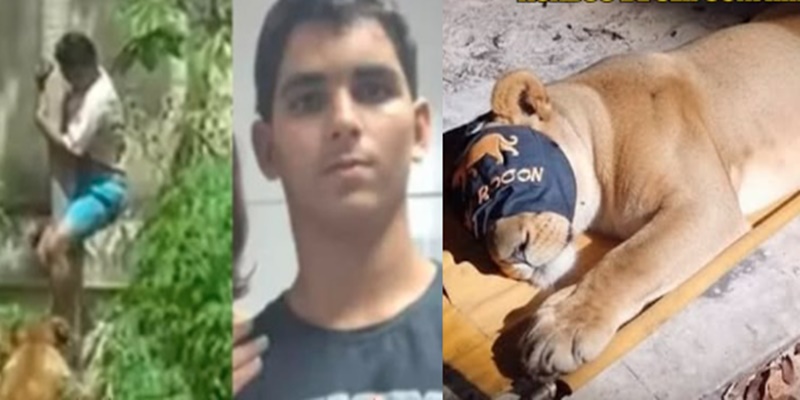 URGENTE: Leoa que Matou Homem com Problemas Mentais Acaba de Ser…Ver mais