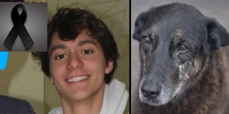 Urgente: jovem que fez parte da morte  do cachorro orelha acaba ser encontrado M…Ver Mais