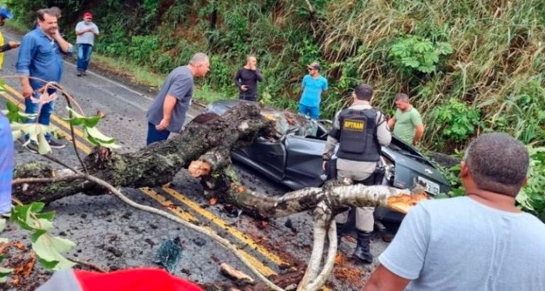 Tragédia: Morre querido APRESENTADOR após árvore cair em cima de sua cabeça, a dor é grande, descanse em paz